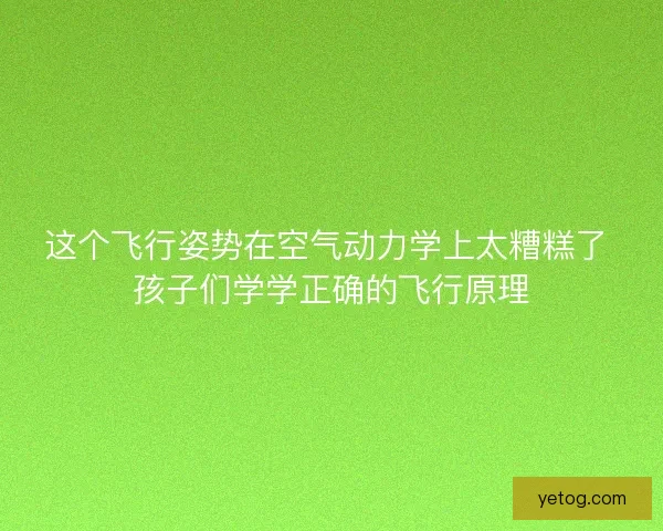 这个飞行姿势在空气动力学上太糟糕了 孩子们学学正确的飞行原理