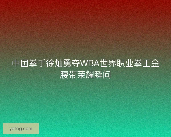 中国拳手徐灿勇夺WBA世界职业拳王金腰带荣耀瞬间